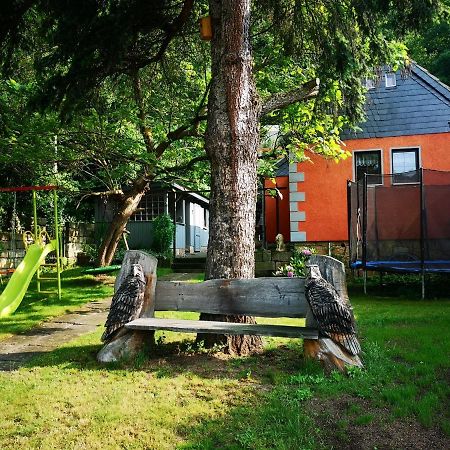 Ferienhaus Franz - An Der Elbe, Mit Grossem Garten Pirna Eksteriør bilde