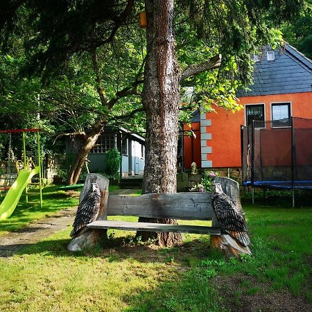 Ferienhaus Franz - An Der Elbe, Mit Grossem Garten Villa Pirna Eksteriør bilde