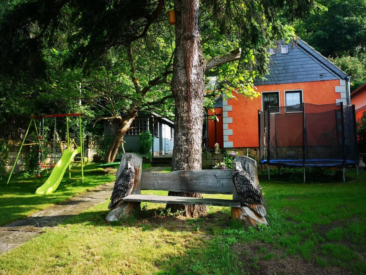 Ferienhaus Franz - An Der Elbe, Mit Grossem Garten Pirna Eksteriør bilde