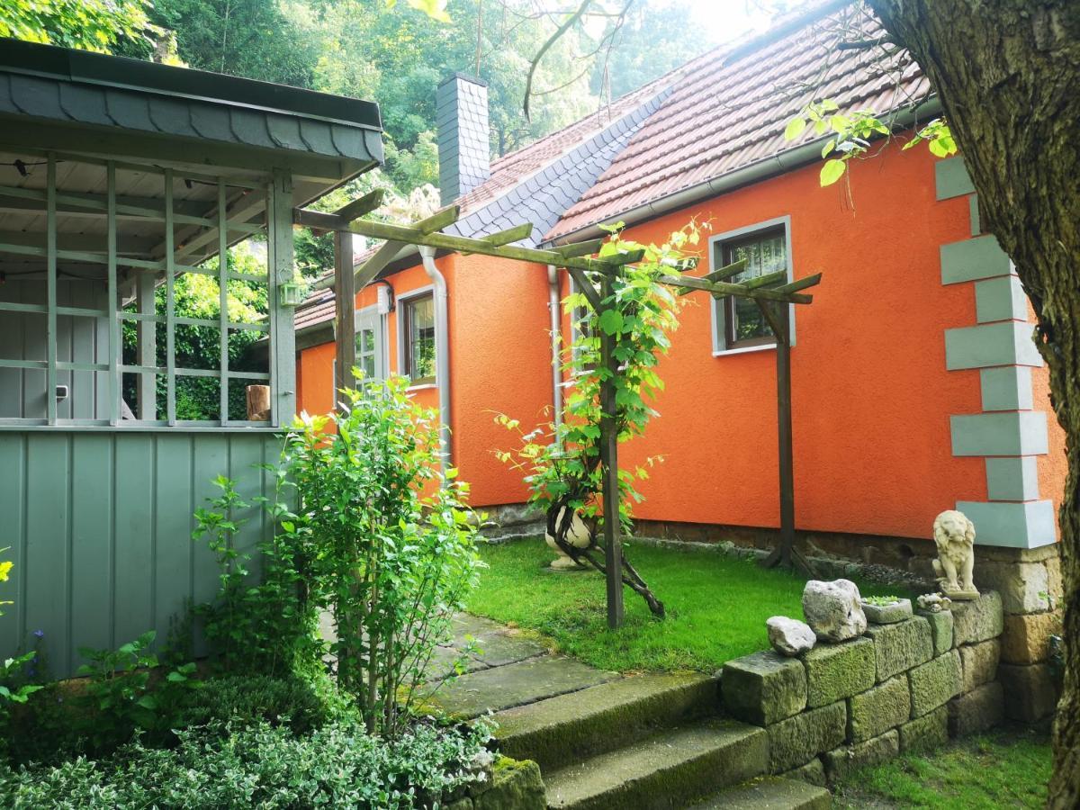 Ferienhaus Franz - An Der Elbe, Mit Grossem Garten Pirna Eksteriør bilde